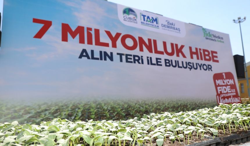 Çubuk Belediyesi fide dağıttı