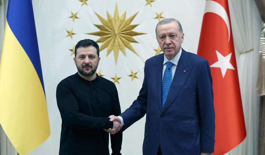 Zelenskiy ve Erdoğan ne görüşecek?