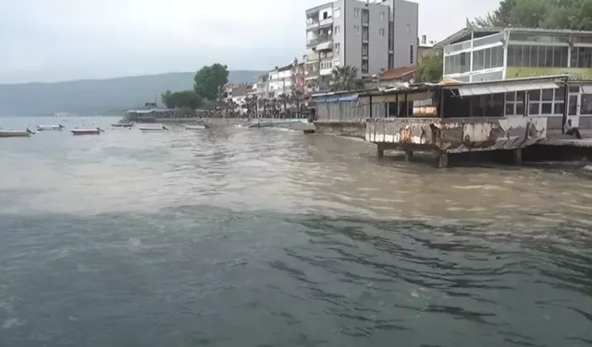 Gemlik Körfezi'nde müsilaj sorunu