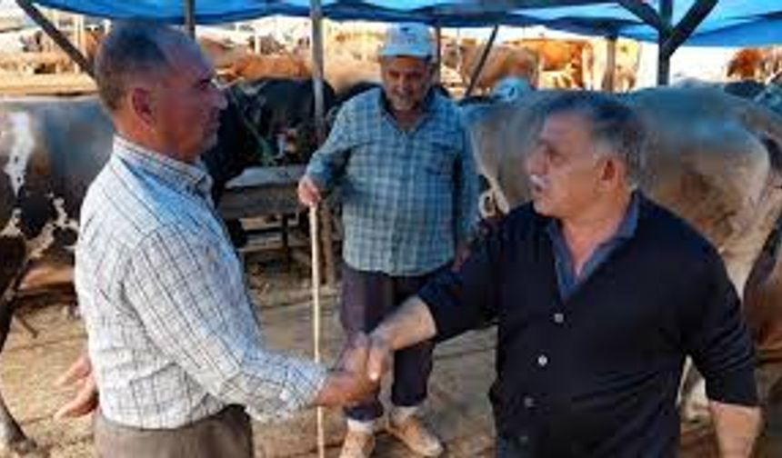 Kurbanlıkların yarısı satıldı