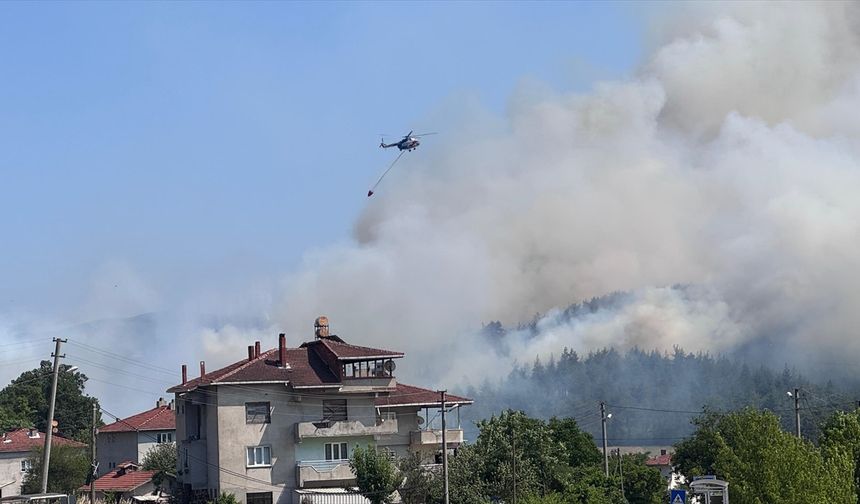Bursa'da ormanı alevler sardı