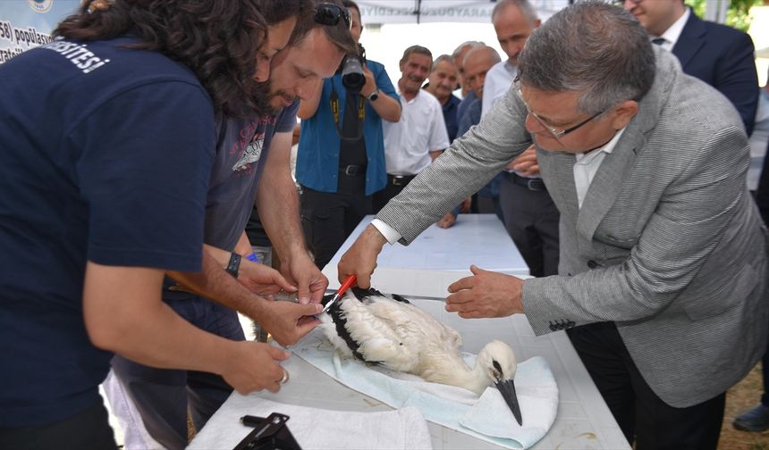 Cuma Ovası’nda Umut Veren Görüntü