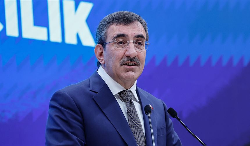 Cumhurbaşkanı Yardımcı'ndan mayıs enflasyonu değerlendirmesi