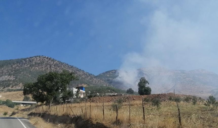 Kahramanmaraş'ta ormanı alevler sardı