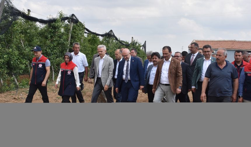 Karaman'da elma bahçelerini incelediler
