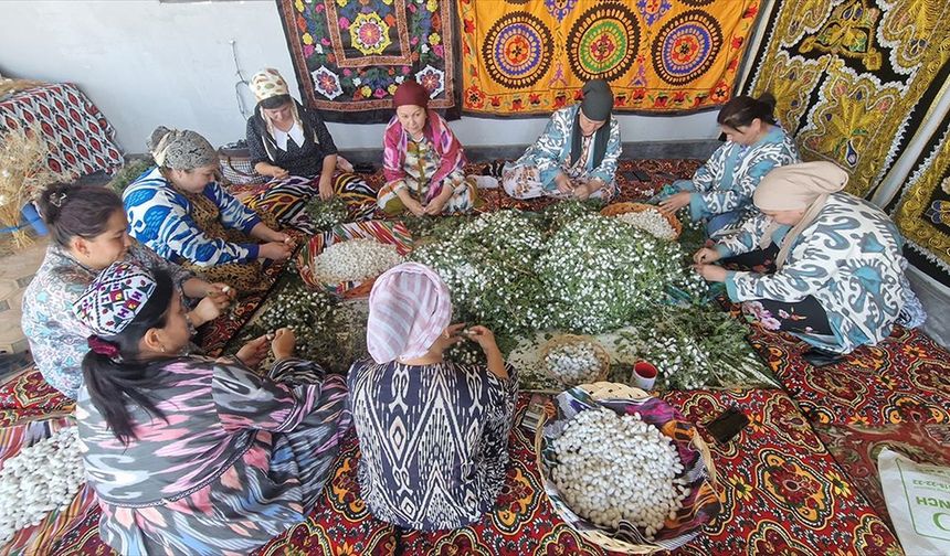 Özbekistan'da Ev Kadınları İpek Böceği Yetiştiriyor