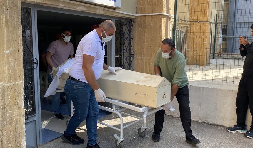 Sivas'ta Kene Can Aldı