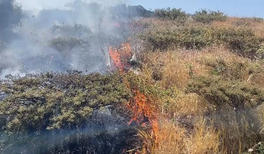 Bingöl’de örtü yangını