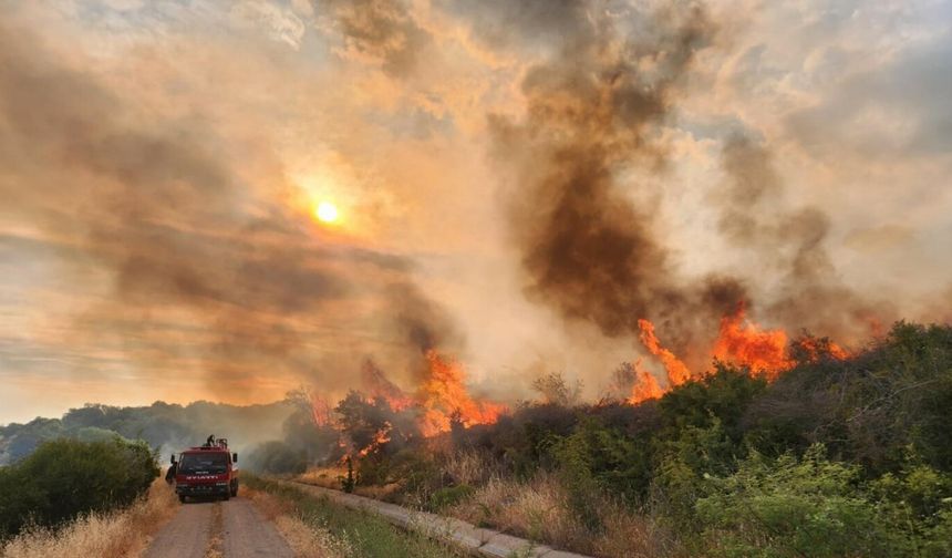 Çanakkale'deki Yangınlar İçin 6 Kişi Gözaltına Alındı