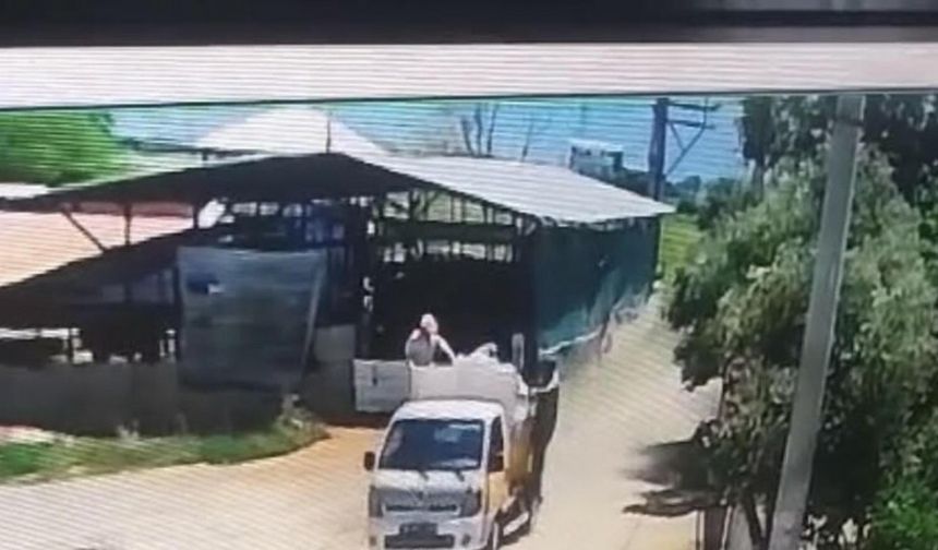 Çöp Kamyonundan Düşen İşçi Ağır Yaralandı