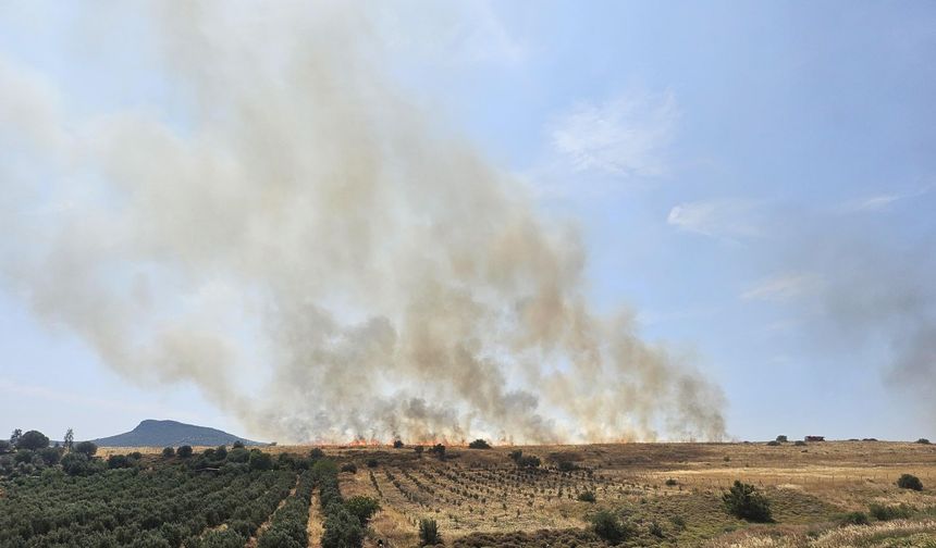 Foça'da otluk yangını