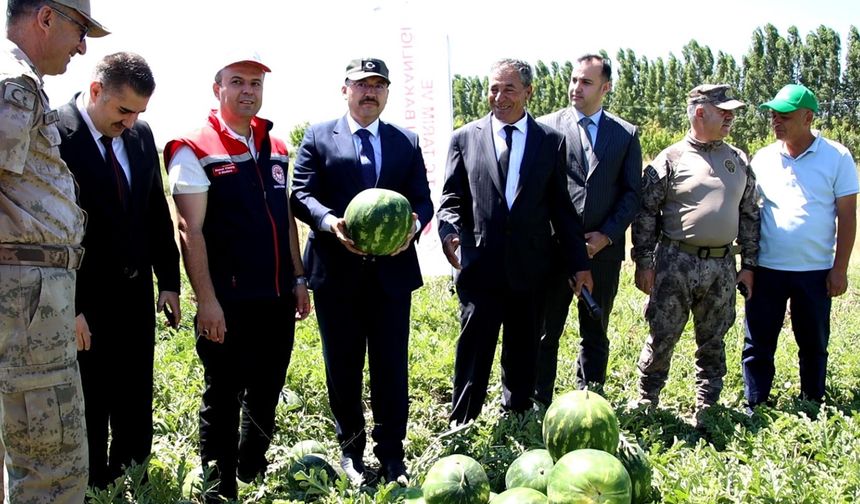 Iğdır'da Çiftçinin Beklediği 4 Hasat Karpuz