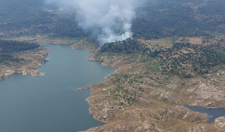 Muğla Yangınında 2 Hektar Orman Yandı
