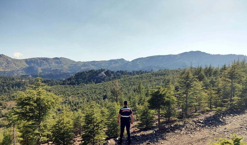 Muğla'da Ormana Girmek Yasak
