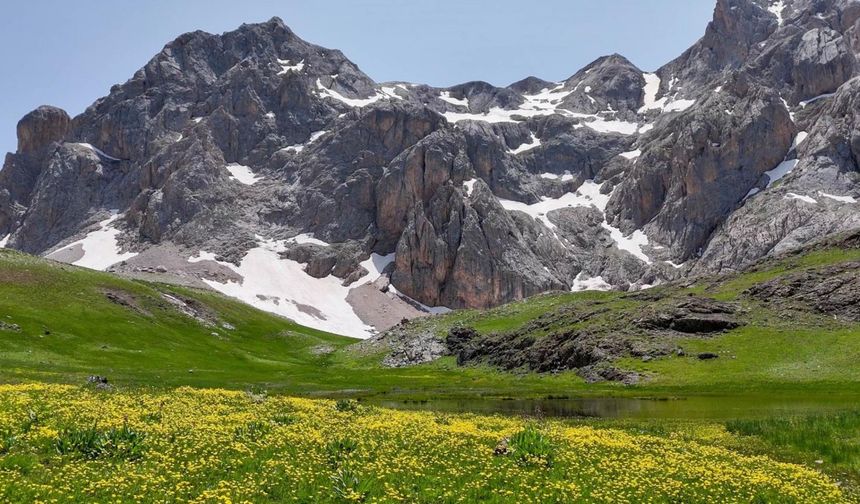Sohmarik Yaylası'nda Çiçekler ve Kar Buluşuyor
