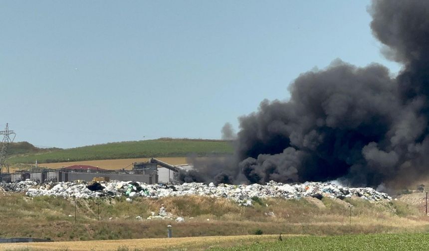 Tekirdağ'da korkutan tesis yangını