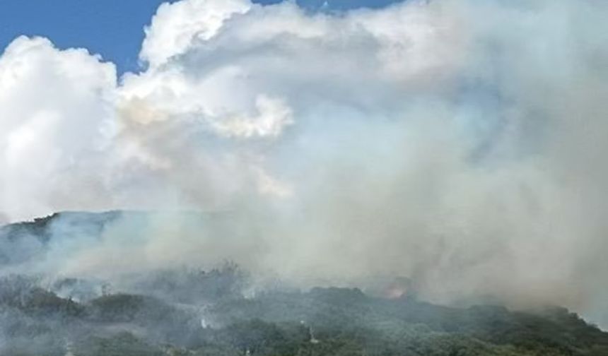 Tokat’ta maki yangını