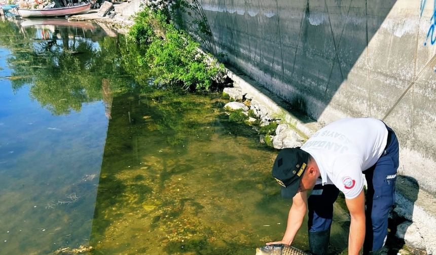 Uluabat Gölü’nde usulsüz avlananlara ceza