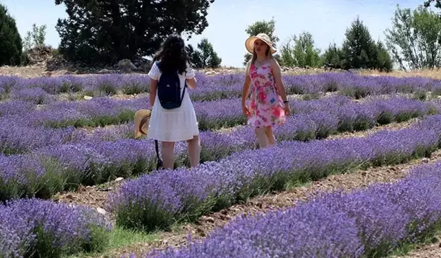 Tatilde Yeni Trend: Tarım Turizmi