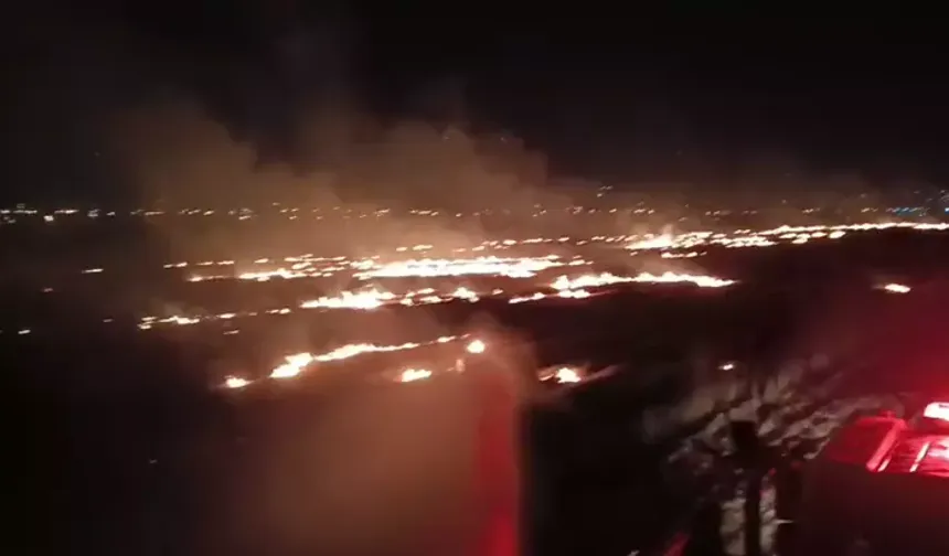 Silopi'de araziyi alevler sardı