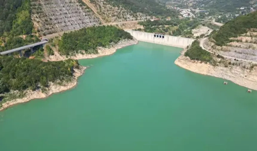 Bartın Irmağı'nda balık ölümleri çevreye ağır koku yaydı