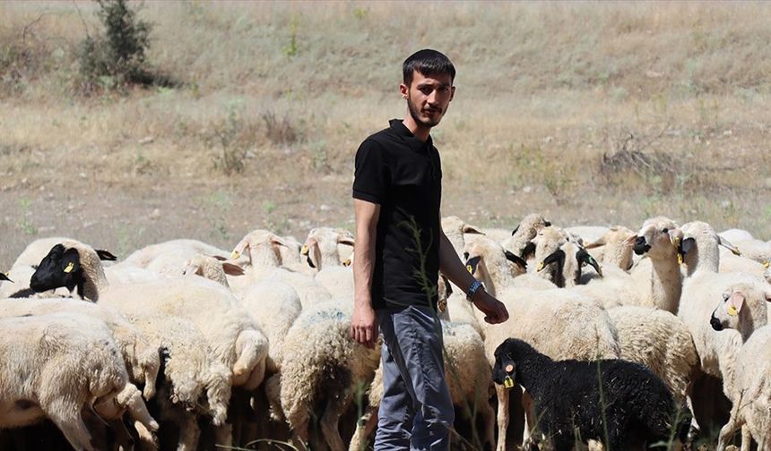 Mühendislikten Tarıma: Diyabet Tanısı Hayatını Değiştirdi
