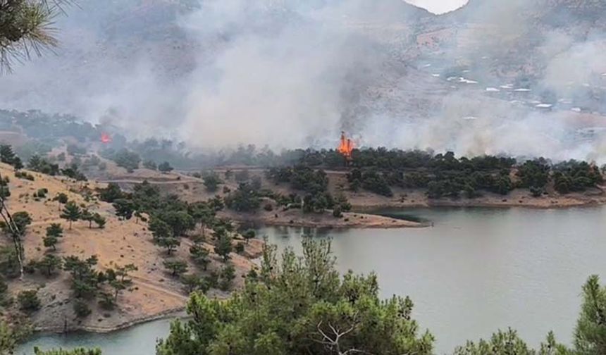 Adıyaman Merkez'de orman yangını