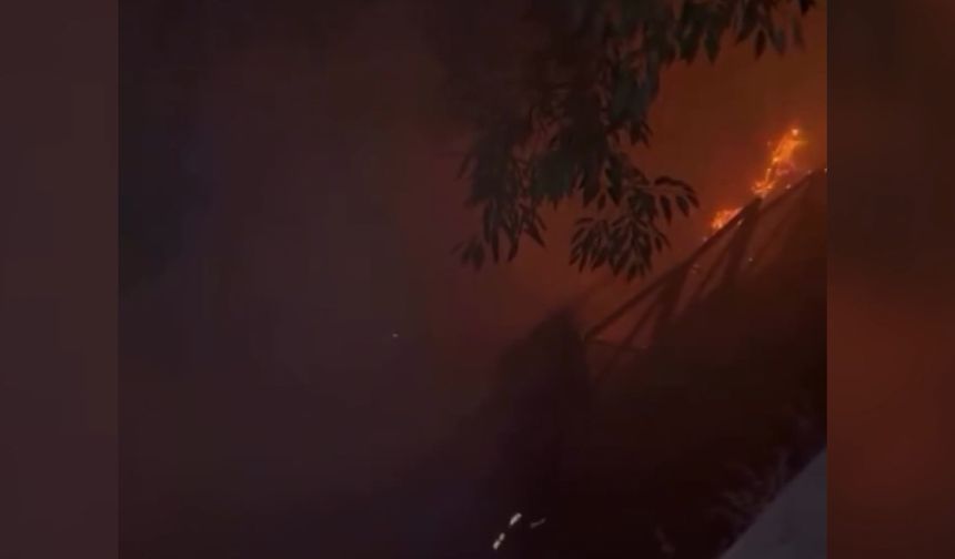 Attıkları havai fişek yangına neden oldu