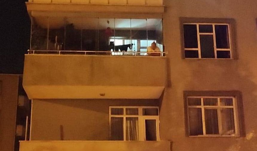 Balkondan düşüp yaşamını yitirdi