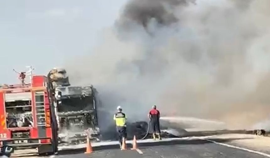 Ceylanpınar'da TIR seyir halinde yandı