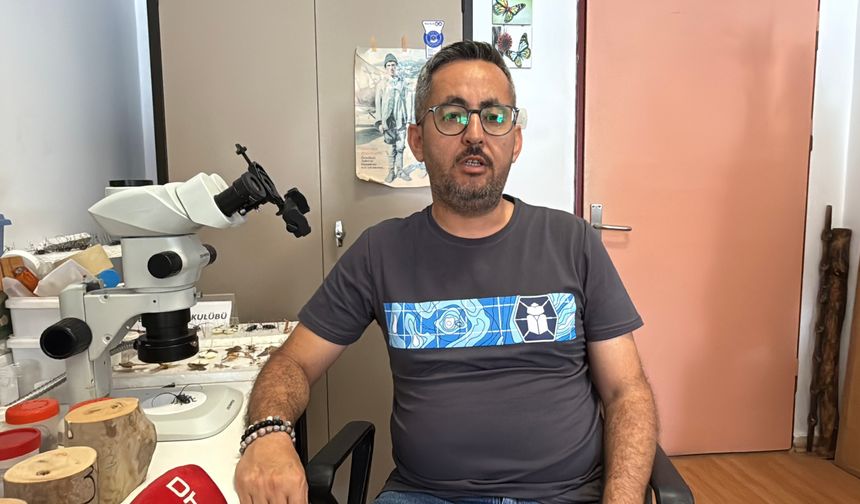 Dedektör köpekler bu sefer sınır kapılarında zararlı böcekleri belirleyecek