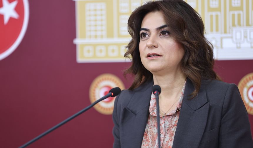 DEM Parti'li Koçyiğit'ten kurulacak komisyona dair yeni açıklama
