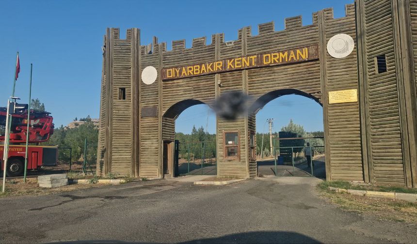 Diyarbakır'da kafede çıkan yangın kontrol altına alındı