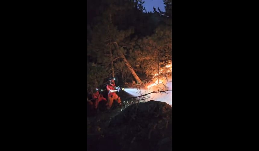 Eskişehir'deki orman yangını devam ediyor