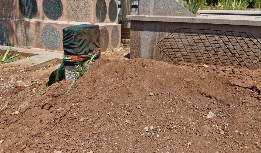 İlayda Alkaş cinayetinde yeni gelişme: Kardeşi şok ifadeler verdi