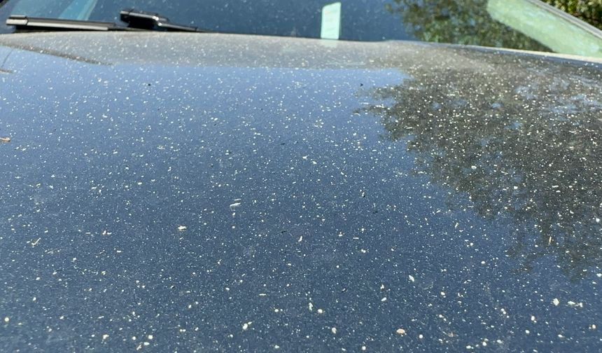 Karabük yangınlarının dumanı Bolu'ya ulaştı