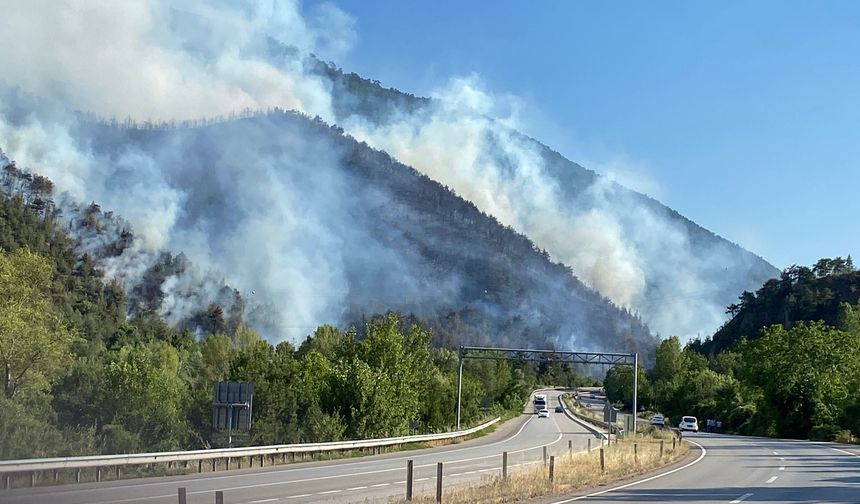 Karabük'te ormanı alevler sardı