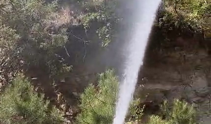 Karabük'teki orman yangınları devam ediyor