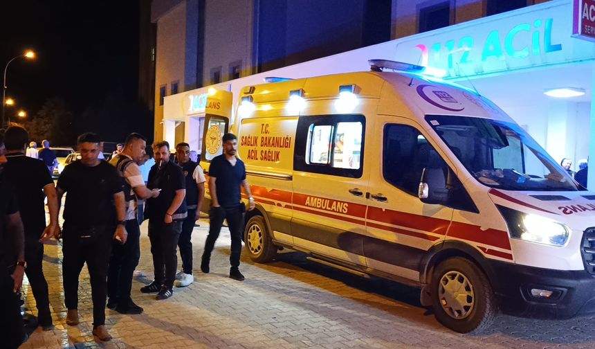Kardeşinin bıçak darbesiyle yaşamını yitirdi