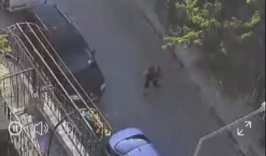 Köpeğe Taşlı ve Sopalı Şiddet