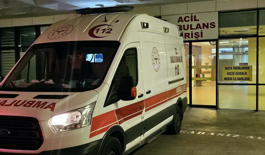 Korkunç Yangın Ahırda Çıktı!