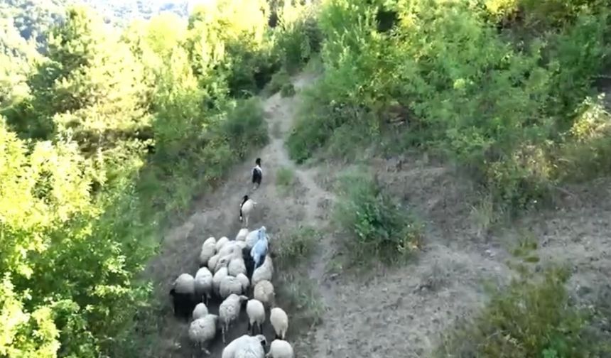 Kurdun saldırısını dronla önlediler