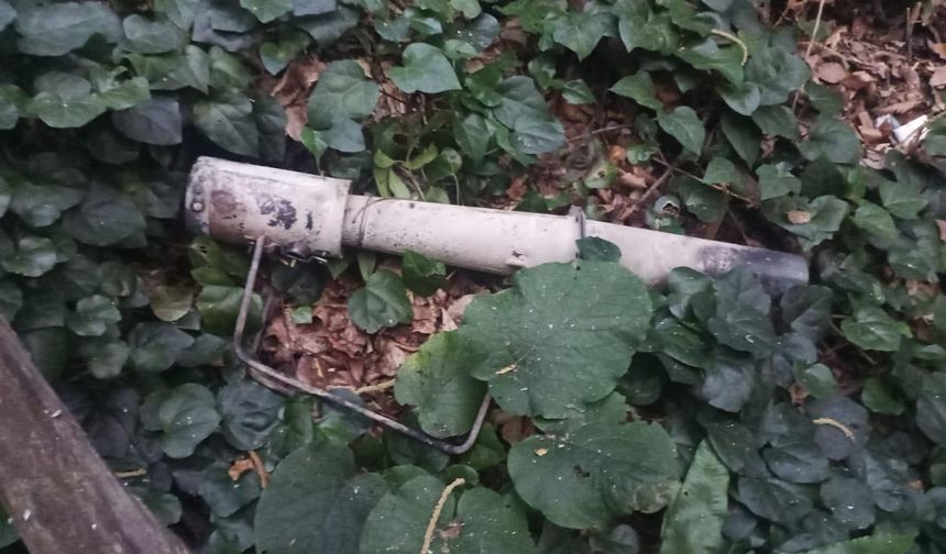 Sakarya'daki yangına ilişkin gözaltı kararı