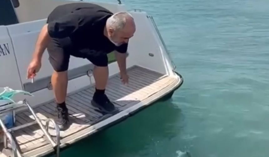 Saros’ta Ender Tür: Kırlangıç Balığı Oltaya Takıldı