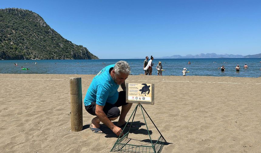 Sinyali Kesilen Caretta 'Tuba', Geri Döndü