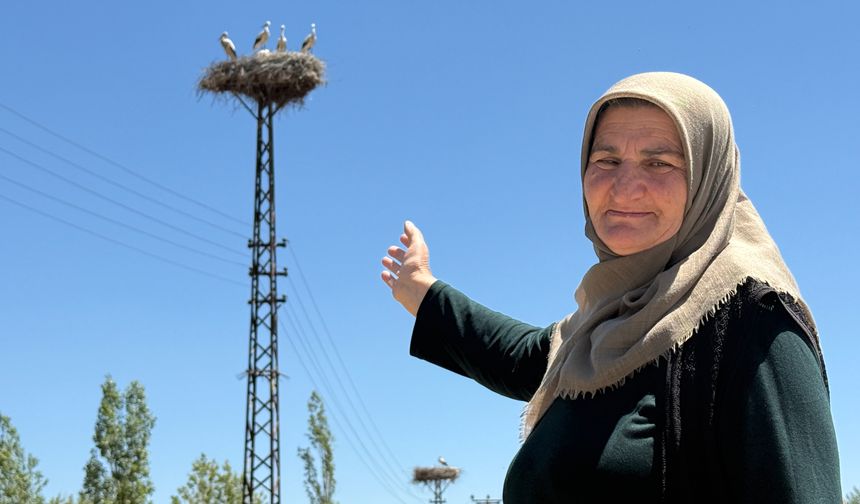 Sivas'ta 20 yıldır 'yarenlik' yapıyorlar
