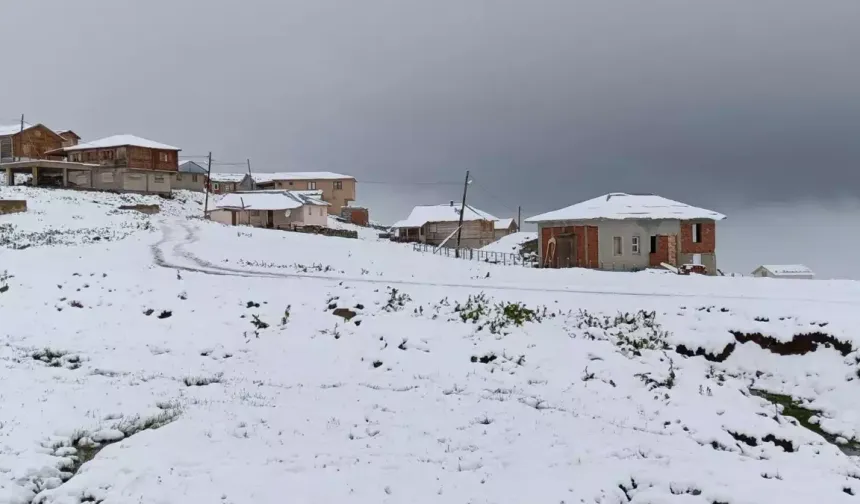 Rize'ye temmuzda kar yağdı