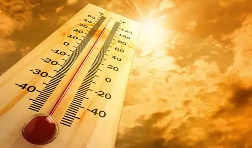 İspanya'da aşırı sıcaklık alarmı: Can kaybı yükselmeye devam ediyor
