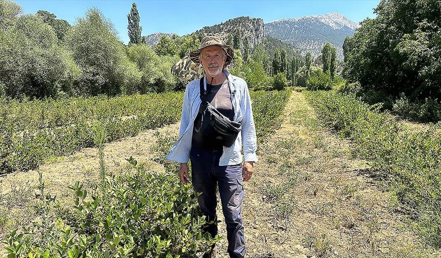 Avustralya’dan Türkiye’ye dönüş: Aronyayla üretime katkı sunuyor