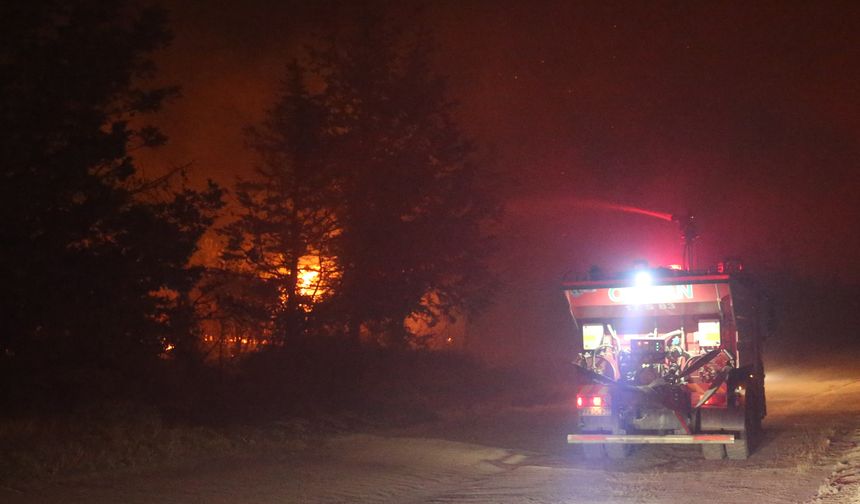 Edirne'de Orman Yangınına Müdahale Devam Ediyor